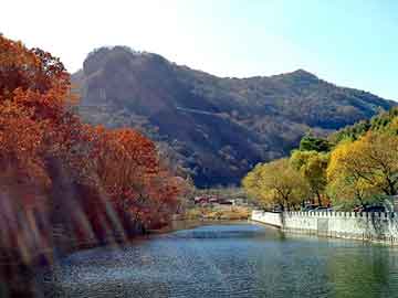 管家婆黑白马报图库，本田飞度论坛